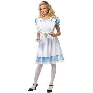 ✨California Costumes Alice Wonderland Sz Medium Costume✨